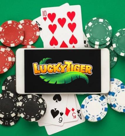 Lucky Tiger Casino 4